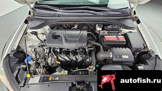 Hyundai AVANTE Avante AD 2017 года - вид 6