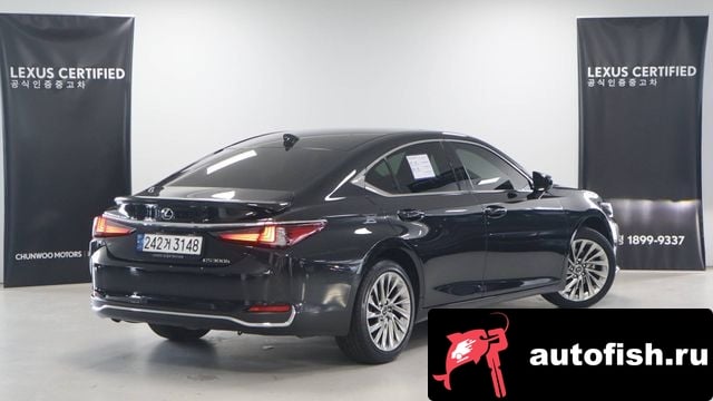 Lexus ES ES300h 7th generation 2024 года - вид 2