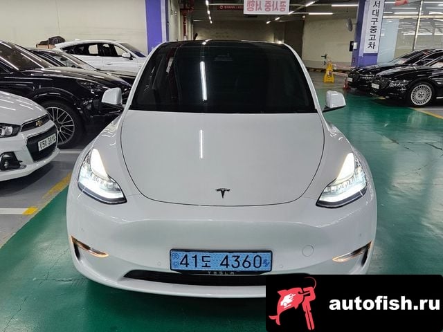 Tesla Model Y Model Y 2021 года - вид 1