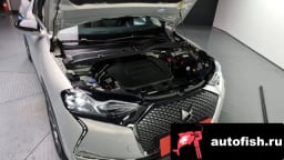 Миниатюра 6