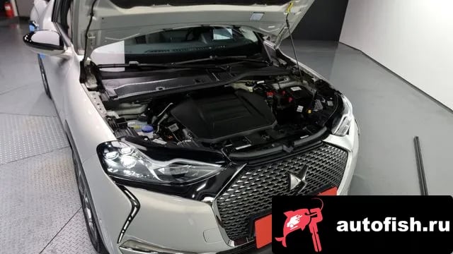 Citroen-DS DS3 DS3 Crossback 2023 года - вид 6