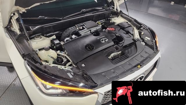 Infiniti QX50 QX50 (P71A) 2019 года - вид 6