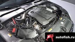 Миниатюра 6