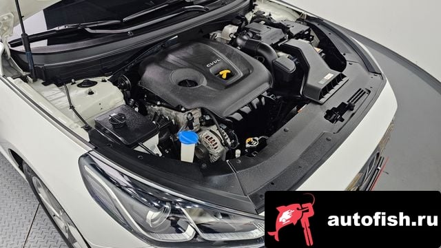 Hyundai Sonata Sonata New Rise 2019 года - вид 6