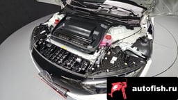 Миниатюра 6