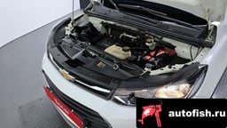 Миниатюра 6