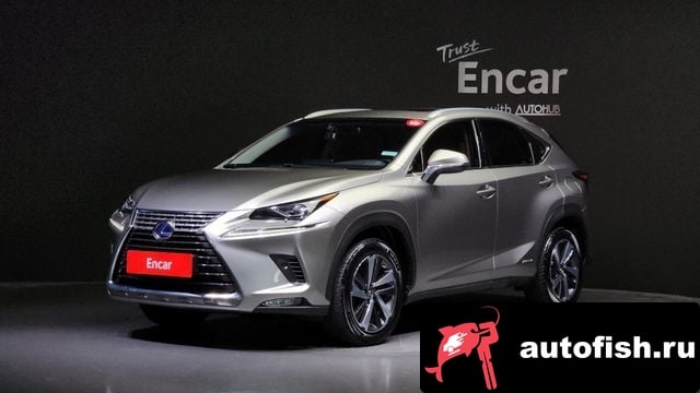 Lexus NX NX300h 2018 года - вид 1
