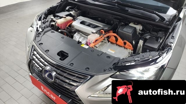 Lexus NX NX300h 2018 года - вид 6