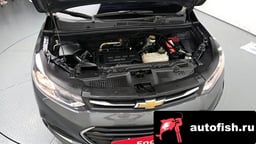 Миниатюра 6