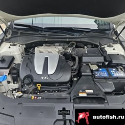 Миниатюра 6