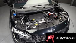 Миниатюра 6