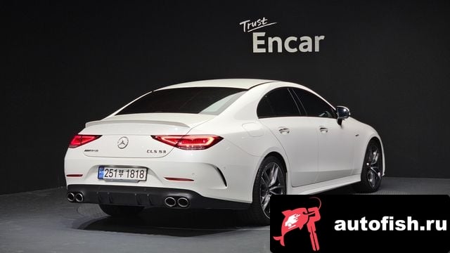 Mercedes-Benz CLS-Class CLS-Class C257 2020 года - вид 2