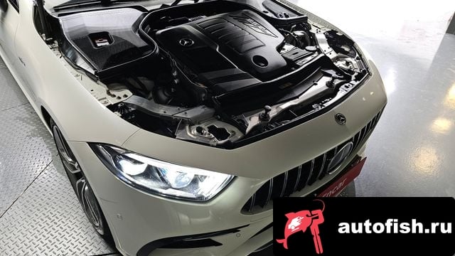 Mercedes-Benz CLS-Class CLS-Class C257 2020 года - вид 6