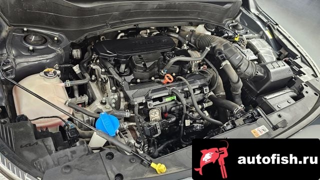 Kia Seltos The New Celtos 2023 года - вид 6