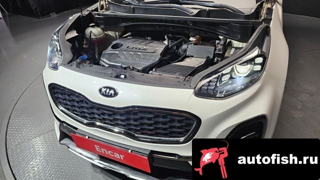 Kia Sportage Sportage The Bold 2018 года - вид 6