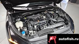 Миниатюра 6