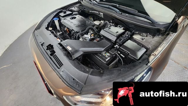 Hyundai Sonata Sonata New Rise 2018 года - вид 6