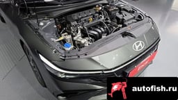 Миниатюра 6