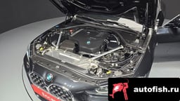 Миниатюра 6