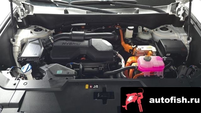 Hyundai Santafe San Tafe (MX5) 2024 года - вид 6