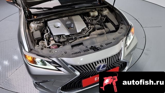 Lexus ES ES300h 7th generation 2020 года - вид 6