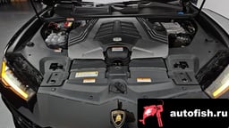 Миниатюра 6