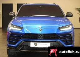 Миниатюра 3