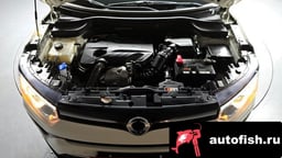 Миниатюра 6