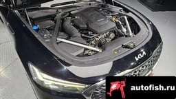 Миниатюра 6