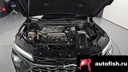 Миниатюра 6