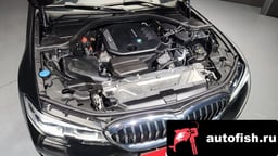 Миниатюра 6