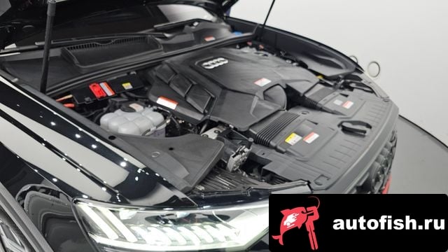 Audi Q8 Q8 (4M) 2023 года - вид 6