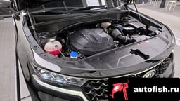 Миниатюра 6