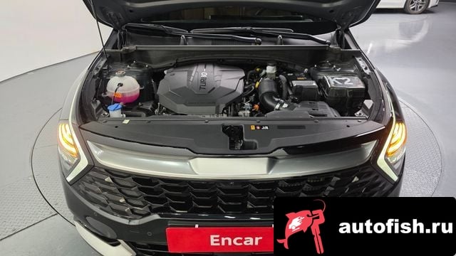 Kia Sportage Sportage 5th Generation 2024 года - вид 6