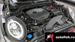 Миниатюра 6