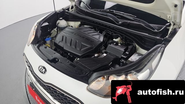 Kia Sportage Sportage The Bold 2018 года - вид 6