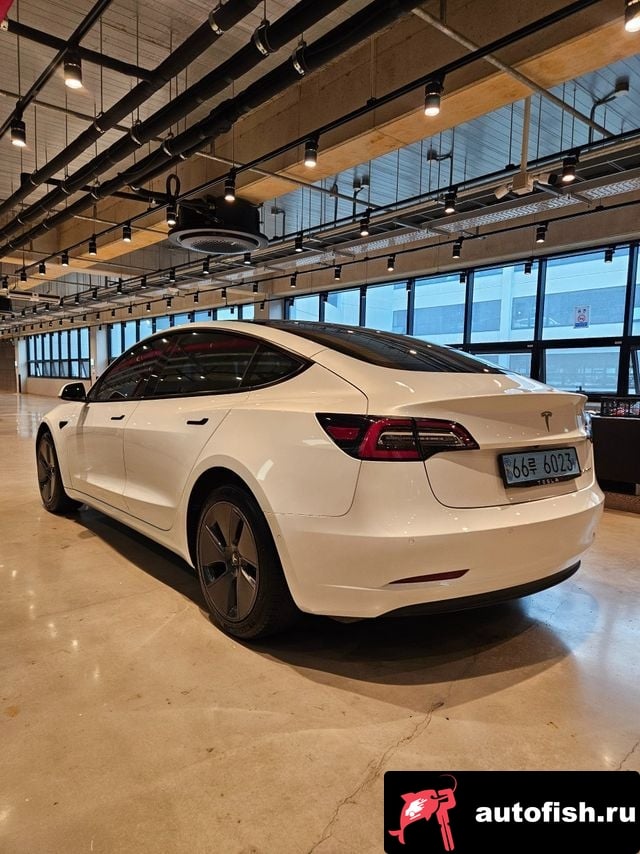 Tesla Model 3 Model 3 2022 года - похожие автомобили