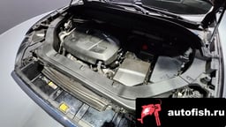 Миниатюра 6