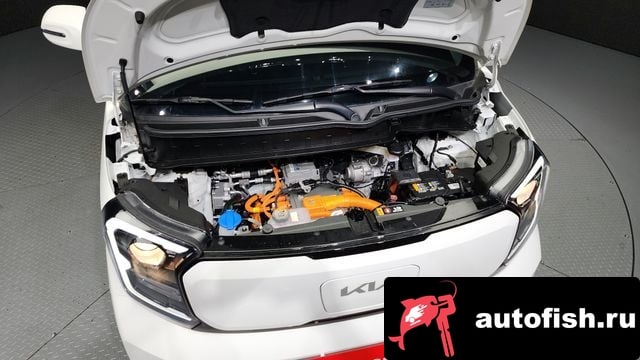 Kia RAY The New Kia Ray EV 2024 года - вид 6