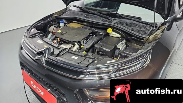 Citroen-DS C4 CACTUS C4 Cactus 2019 года - вид 6