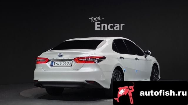 Toyota Camry Camry (XV70) 2024 года - вид 2
