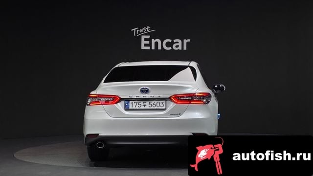 Toyota Camry Camry (XV70) 2024 года - вид 4