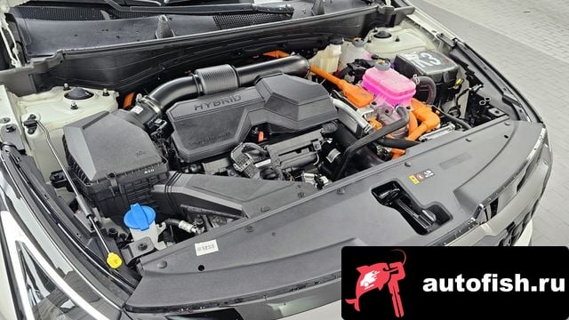 Kia Sportage The New Sportage 5th Generation Hybrid 2024 года - вид 6