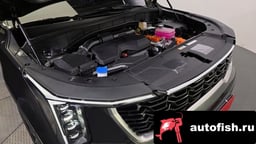 Миниатюра 6