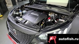 Миниатюра 6