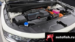 Миниатюра 6