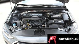 Миниатюра 6