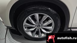 Миниатюра 5