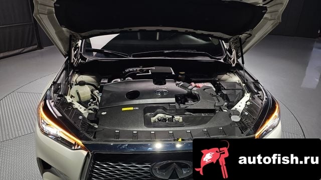Infiniti QX50 QX50 (P71A) 2019 года - вид 6