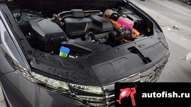 Hyundai Tucson Tucson Hybrid (NX4) 2023 года - похожие автомобили